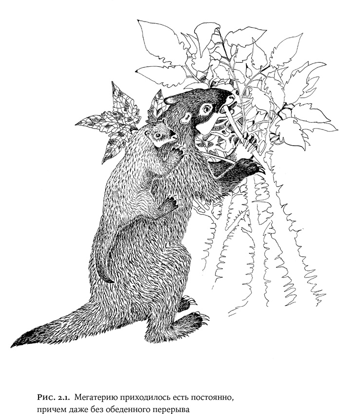 Иллюстрация к книге — Люди и звери. Мифы и реальность [i_008.jpg]