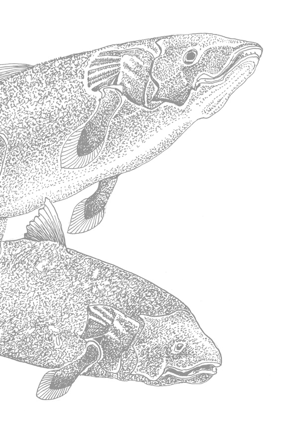 Иллюстрация к книге — Люди и звери. Мифы и реальность [i_014.jpg]