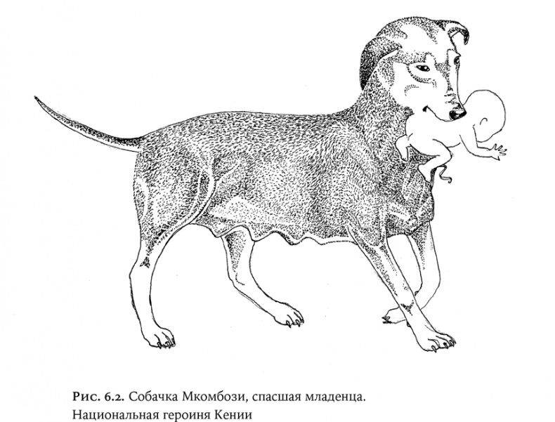 Иллюстрация к книге — Люди и звери. Мифы и реальность [i_022.jpg]