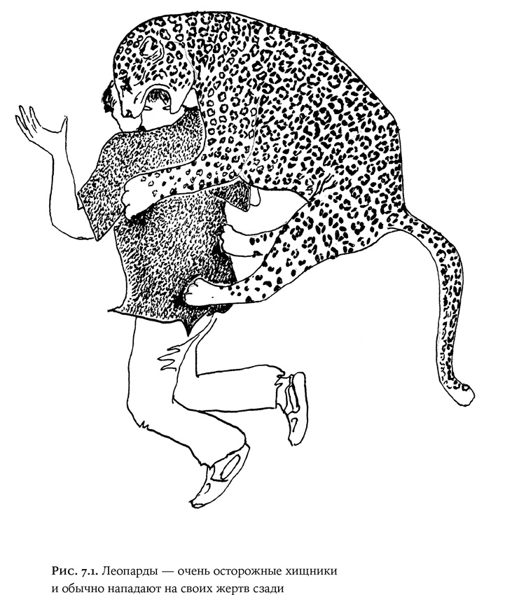 Иллюстрация к книге — Люди и звери. Мифы и реальность [i_024.jpg]