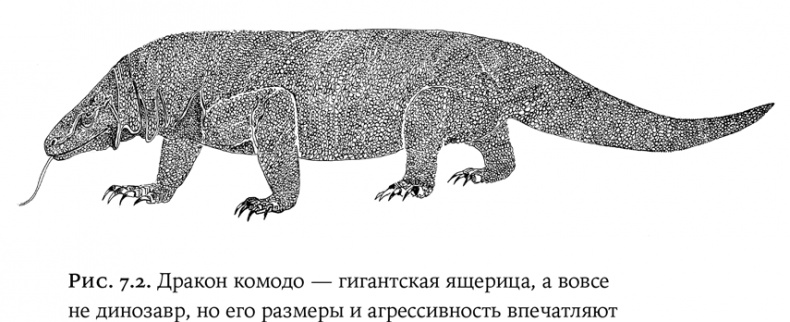 Иллюстрация к книге — Люди и звери. Мифы и реальность [i_025.jpg]