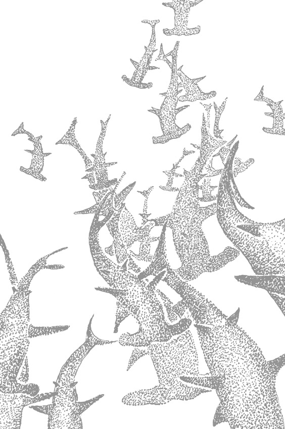 Иллюстрация к книге — Люди и звери. Мифы и реальность [i_026.jpg]