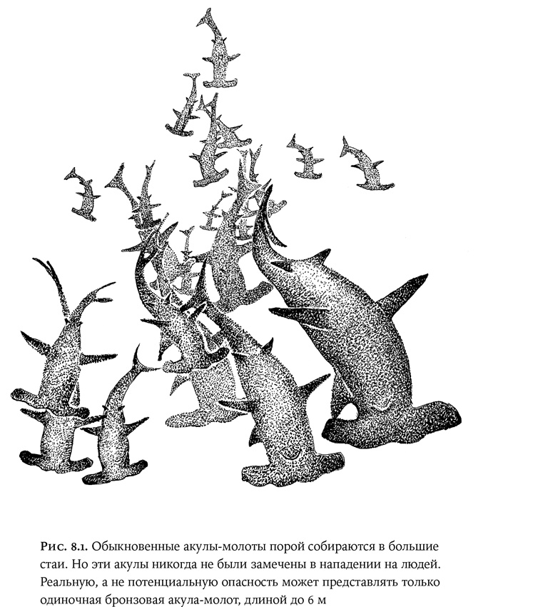 Иллюстрация к книге — Люди и звери. Мифы и реальность [i_027.jpg]