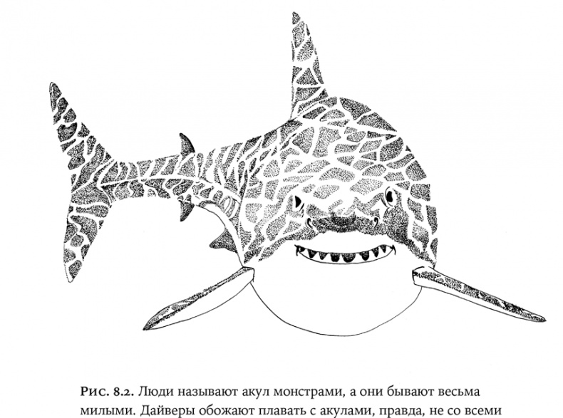 Иллюстрация к книге — Люди и звери. Мифы и реальность [i_028.jpg]