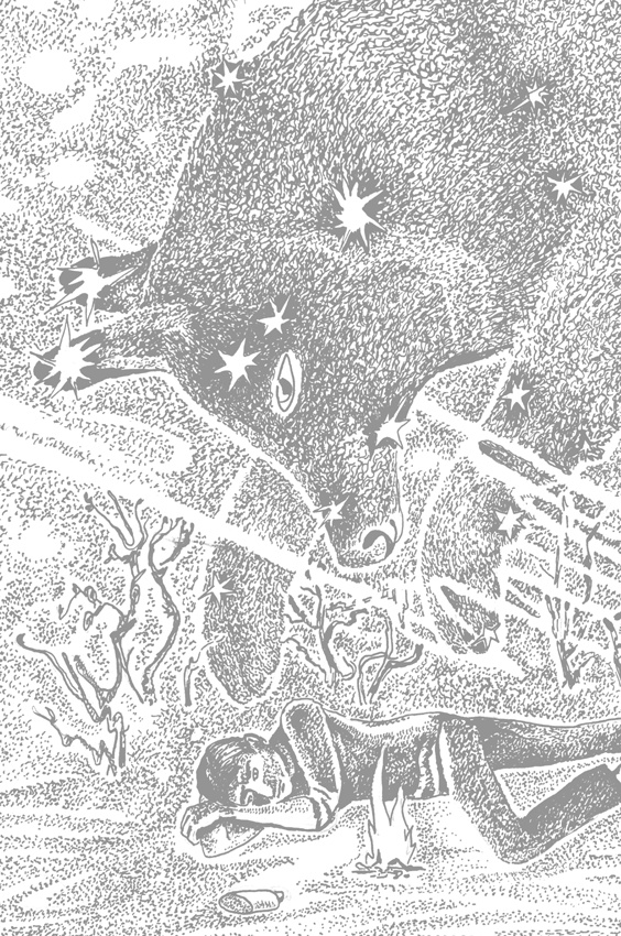 Иллюстрация к книге — Люди и звери. Мифы и реальность [i_030.jpg]