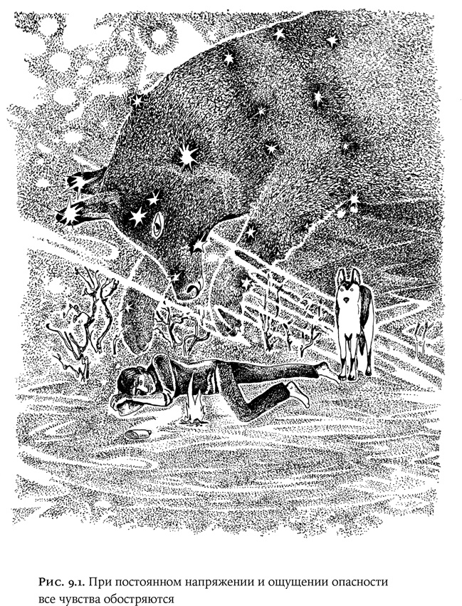 Иллюстрация к книге — Люди и звери. Мифы и реальность [i_031.jpg]