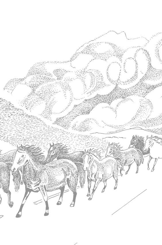 Иллюстрация к книге — Люди и звери. Мифы и реальность [i_033.jpg]