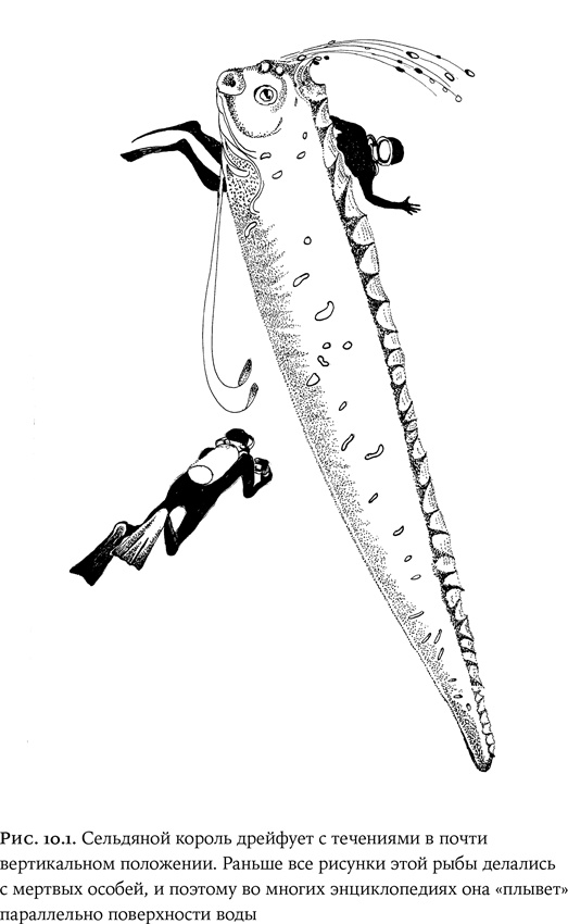 Иллюстрация к книге — Люди и звери. Мифы и реальность [i_034.jpg]