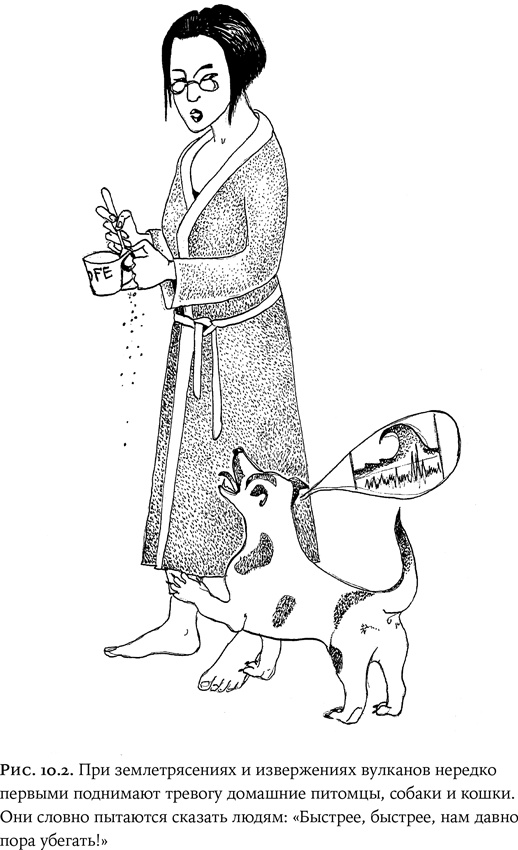 Иллюстрация к книге — Люди и звери. Мифы и реальность [i_035.jpg]