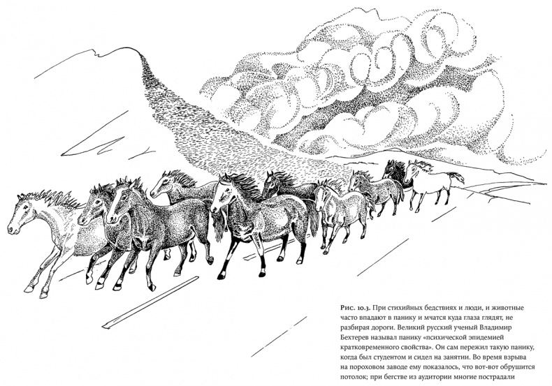 Иллюстрация к книге — Люди и звери. Мифы и реальность [i_036.jpg]