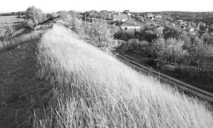 Иллюстрация к книге — Запретная история древнего мира [i_043.jpg]