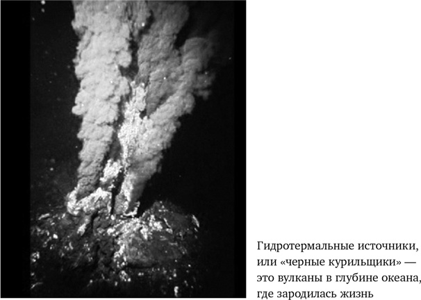 Иллюстрация к книге — Вирусы. Скорее друзья, чем враги [i_004.jpg]
