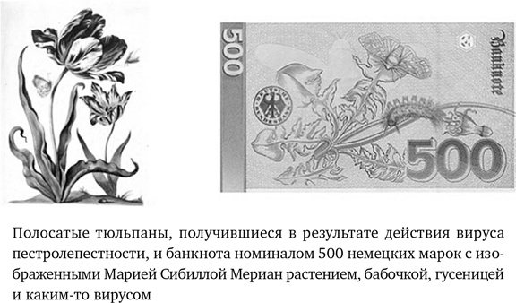 Иллюстрация к книге — Вирусы. Скорее друзья, чем враги [i_021.jpg]