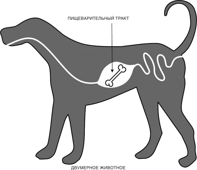 Иллюстрация к книге — Краткая история времени: От Большого Взрыва до черных дыр [i_032.jpg]