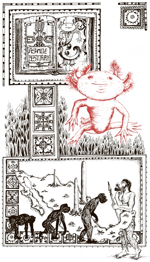 Иллюстрация к книге — Книга о самых невообразимых животных. Бестиарий XXI века [i_004.jpg]