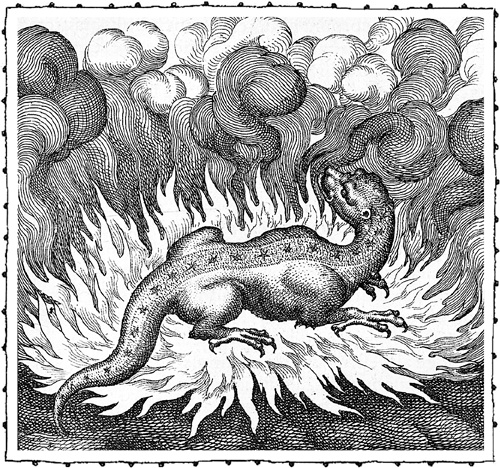 Иллюстрация к книге — Книга о самых невообразимых животных. Бестиарий XXI века [i_006.jpg]