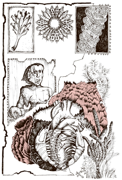 Иллюстрация к книге — Книга о самых невообразимых животных. Бестиарий XXI века [i_012.jpg]