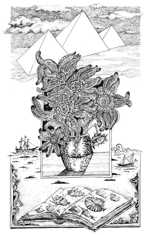 Иллюстрация к книге — Книга о самых невообразимых животных. Бестиарий XXI века [i_017.jpg]