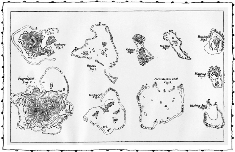 Иллюстрация к книге — Книга о самых невообразимых животных. Бестиарий XXI века [i_020.jpg]