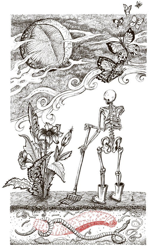 Иллюстрация к книге — Книга о самых невообразимых животных. Бестиарий XXI века [i_030.jpg]