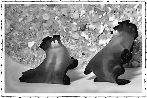 Иллюстрация к книге — Книга о самых невообразимых животных. Бестиарий XXI века [i_034.jpg]