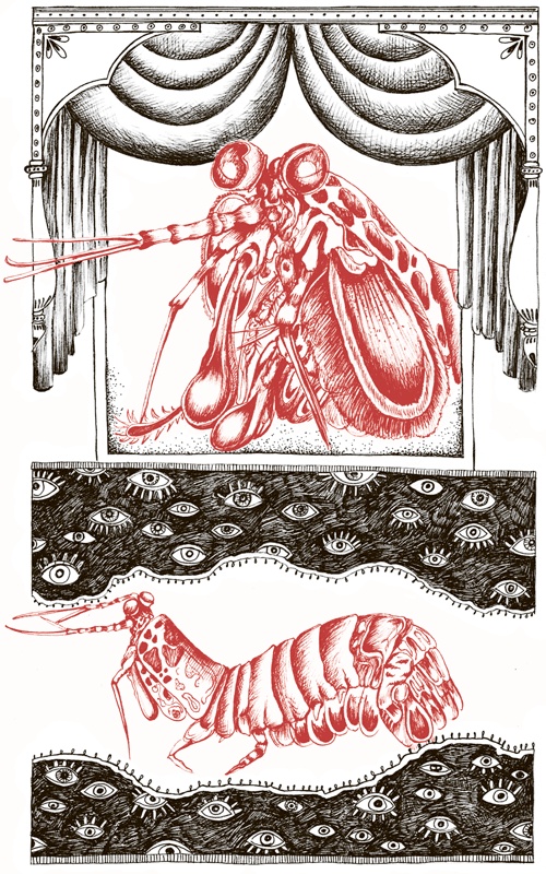 Иллюстрация к книге — Книга о самых невообразимых животных. Бестиарий XXI века [i_035.jpg]