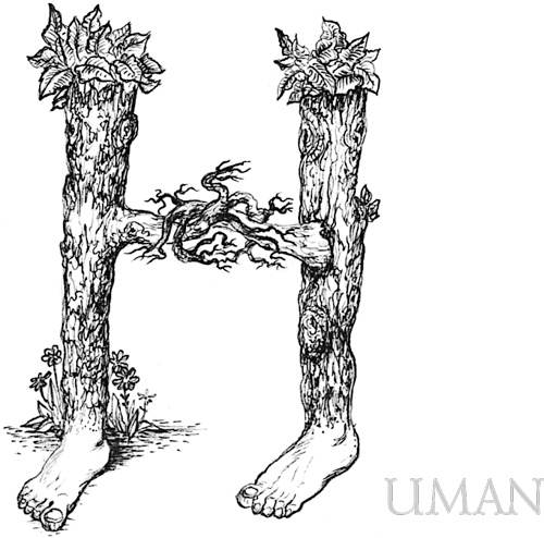 Иллюстрация к книге — Книга о самых невообразимых животных. Бестиарий XXI века [i_040.jpg]