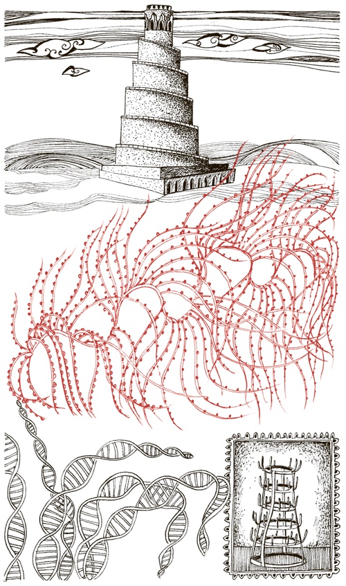 Иллюстрация к книге — Книга о самых невообразимых животных. Бестиарий XXI века [i_042.jpg]