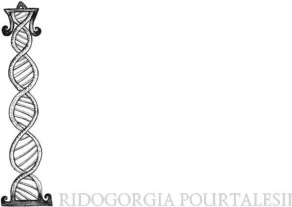 Иллюстрация к книге — Книга о самых невообразимых животных. Бестиарий XXI века [i_043.jpg]