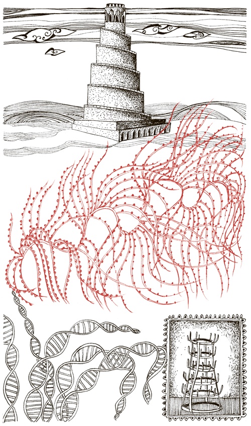 Иллюстрация к книге — Книга о самых невообразимых животных. Бестиарий XXI века [i_048.jpg]