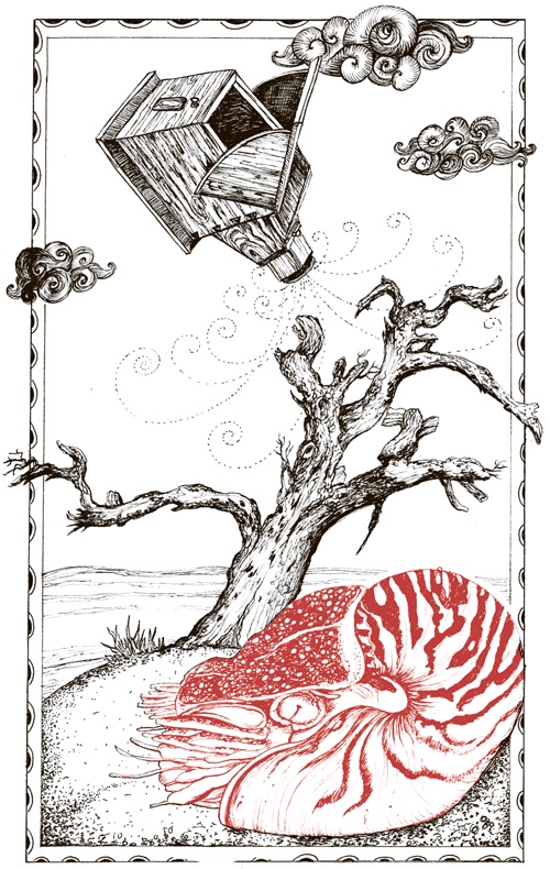 Иллюстрация к книге — Книга о самых невообразимых животных. Бестиарий XXI века [i_062.jpg]