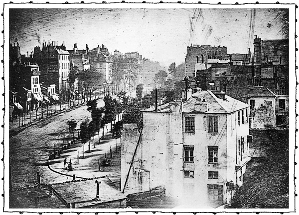 Иллюстрация к книге — Книга о самых невообразимых животных. Бестиарий XXI века [i_067.jpg]