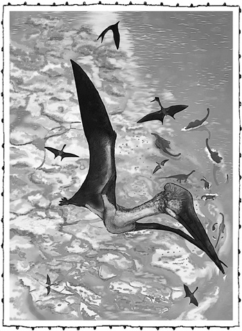 Иллюстрация к книге — Книга о самых невообразимых животных. Бестиарий XXI века [i_082.jpg]