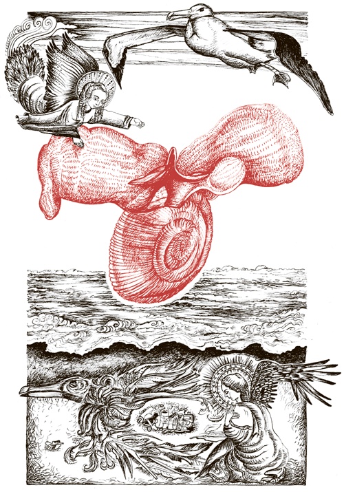 Иллюстрация к книге — Книга о самых невообразимых животных. Бестиарий XXI века [i_086.jpg]