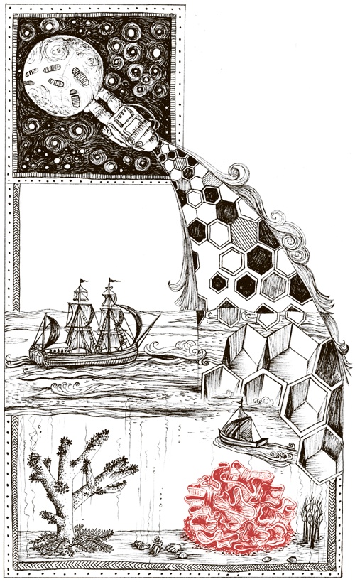 Иллюстрация к книге — Книга о самых невообразимых животных. Бестиарий XXI века [i_105.jpg]