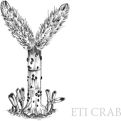 Иллюстрация к книге — Книга о самых невообразимых животных. Бестиарий XXI века [i_110.jpg]