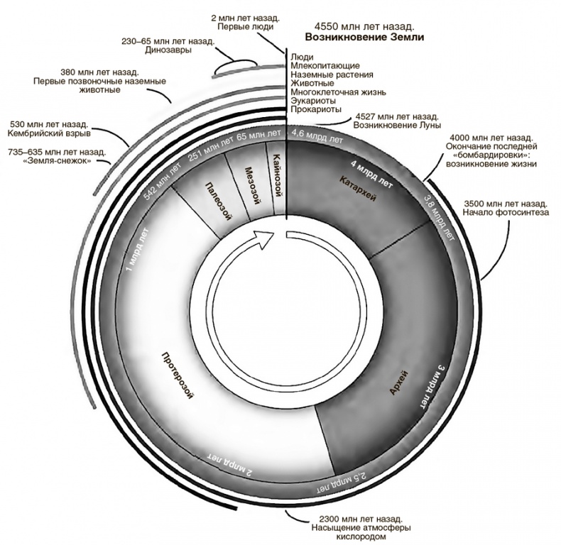 Иллюстрация к книге — Книга о самых невообразимых животных. Бестиарий XXI века [i_118.jpg]
