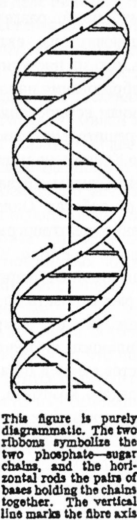 Иллюстрация к книге — Десять величайших открытий в истории медицины [i_021.jpg]