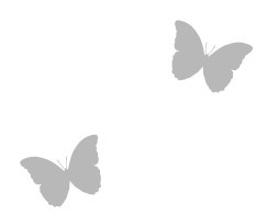 Иллюстрация к книге — Дамы Амстердама. Жизнь в витрине. Откровенные истории квартала «красных фонарей» [i_003.jpg]