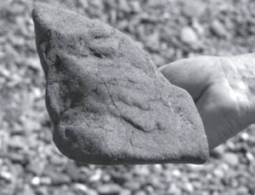 Иллюстрация к книге — Абсолютный минимум. Как квантовая теория объясняет наш мир [i_002.jpg]