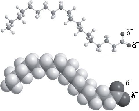Иллюстрация к книге — Абсолютный минимум. Как квантовая теория объясняет наш мир [i_099.jpg]