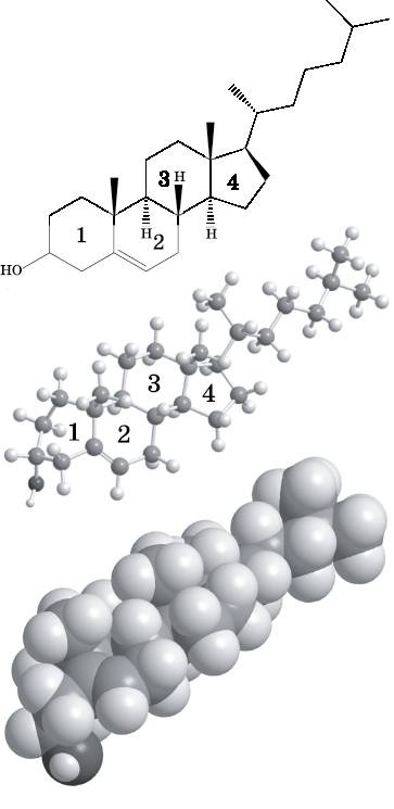 Иллюстрация к книге — Абсолютный минимум. Как квантовая теория объясняет наш мир [i_109.jpg]