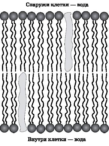 Иллюстрация к книге — Абсолютный минимум. Как квантовая теория объясняет наш мир [i_110.jpg]