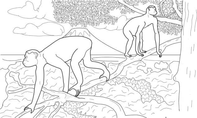 Иллюстрация к книге — Диагностика и лечение позвоночника. Уникальная система доктора А. М. Уриа [i_002.jpg]