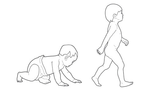 Иллюстрация к книге — Диагностика и лечение позвоночника. Уникальная система доктора А. М. Уриа [i_008.jpg]