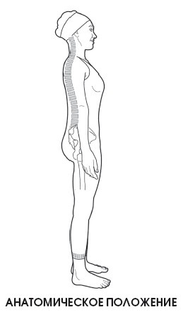 Иллюстрация к книге — Диагностика и лечение позвоночника. Уникальная система доктора А. М. Уриа [i_014.jpg]