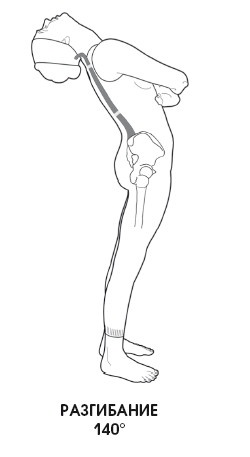 Иллюстрация к книге — Диагностика и лечение позвоночника. Уникальная система доктора А. М. Уриа [i_016.jpg]