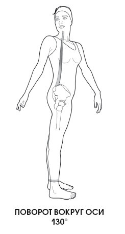 Иллюстрация к книге — Диагностика и лечение позвоночника. Уникальная система доктора А. М. Уриа [i_018.jpg]