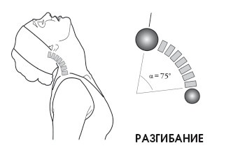 Иллюстрация к книге — Диагностика и лечение позвоночника. Уникальная система доктора А. М. Уриа [i_021.jpg]