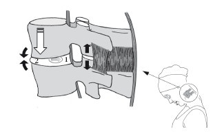 Иллюстрация к книге — Диагностика и лечение позвоночника. Уникальная система доктора А. М. Уриа [i_038.jpg]